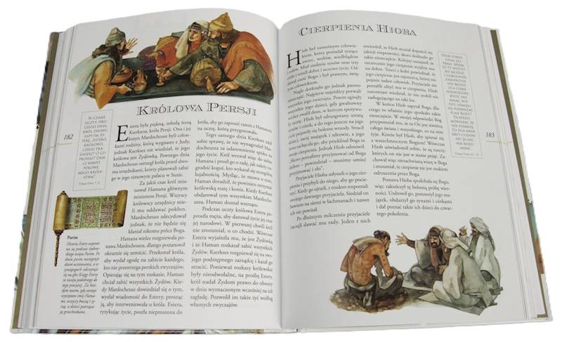 ILUSTROWANA BIBLIA RODZINNA - Neil i Tinq Morris