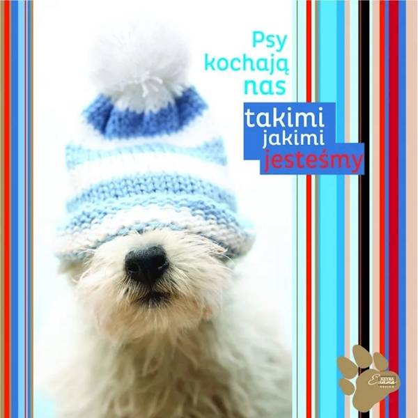 Magnes na lodówkę kukartka "Psy kochają nas takimi jakimi jesteśmy" MG-041