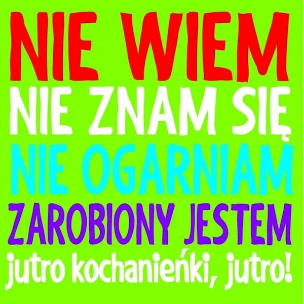Magnes na lodówkę kukartka "NIE WIEM. NIE ZNAM SIĘ..." MG-057