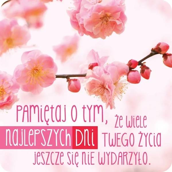 Magnes na lodówkę kukartka "... wiele NAJLEPSZYCH DNI ..." MG-086