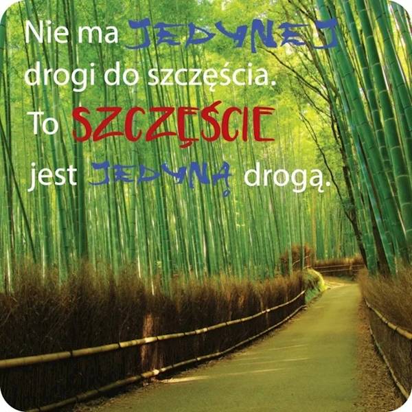 Magnes na lodówkę kukartka "Nie ma JEDYNEJ drogi do szczęścia..." MG-095