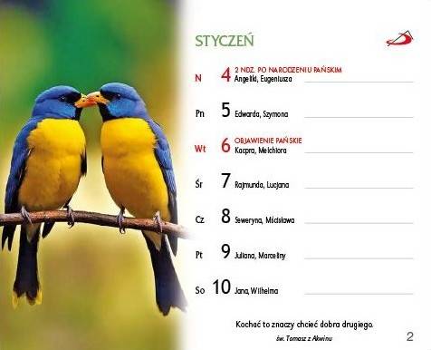 Kalendarz 2026 na biurko - Czas to miłość (16x13 cm)