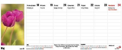 Kalendarz 2026 na biurko - Tygodniowe inspiracje (27,5x11,5 cm)