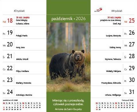 Kalendarz 2026 na biurko - Wszystko ma swój czas (20x16,5 cm)