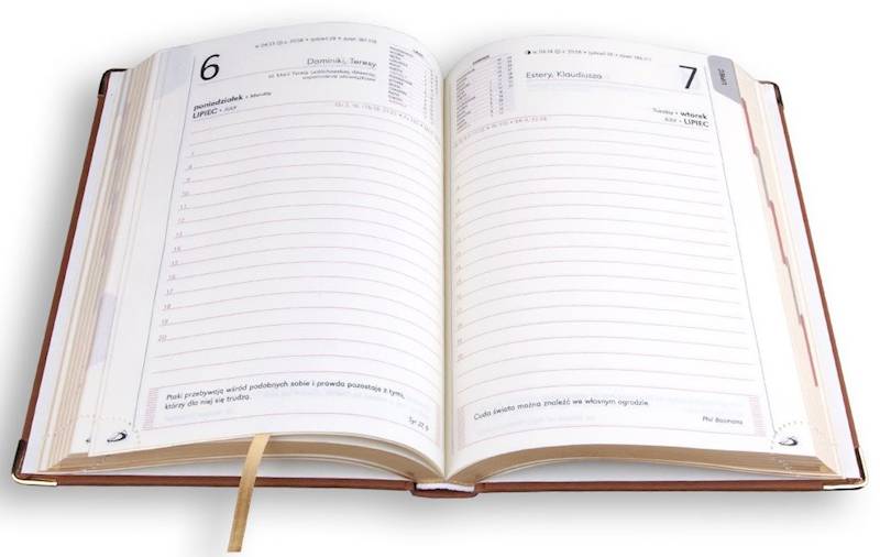 Kalendarz / Terminarz 2026 A5 LUX, złocone brzegi - brązowy