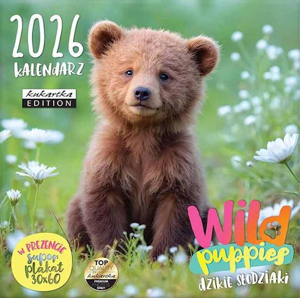Kalendarz 2026 ŚCIENNY (kukartka) - WILD PUPPIES