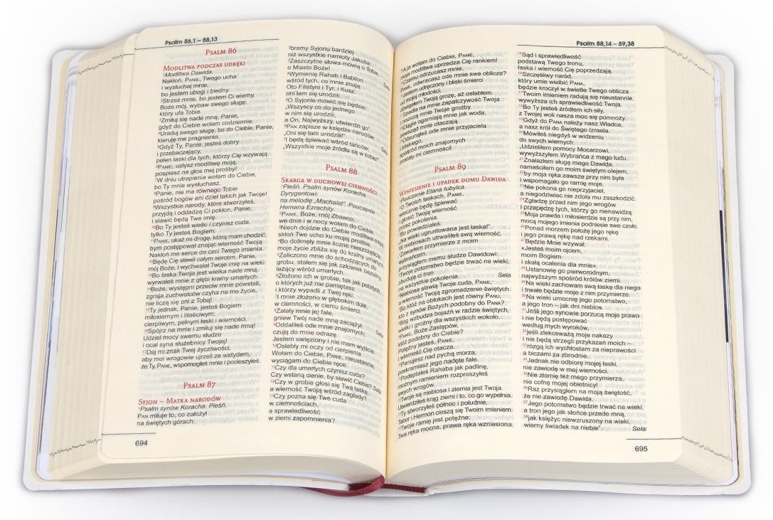 BIBLIA STARY i NOWY TESTAMENT "z rybką". Oprawa balacron, bordowa, z kolorową wkładką