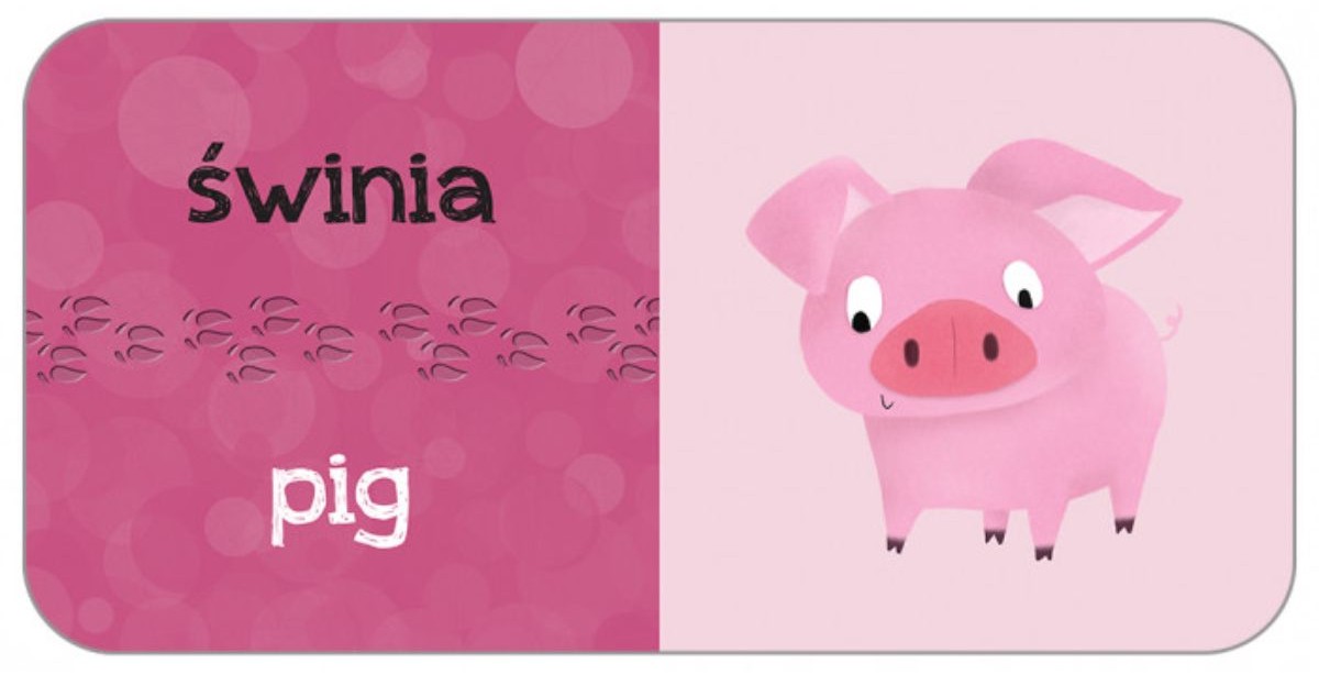 KAKADU: Zwierzęta domowe (książka interaktywna) - Agnieszka Matz