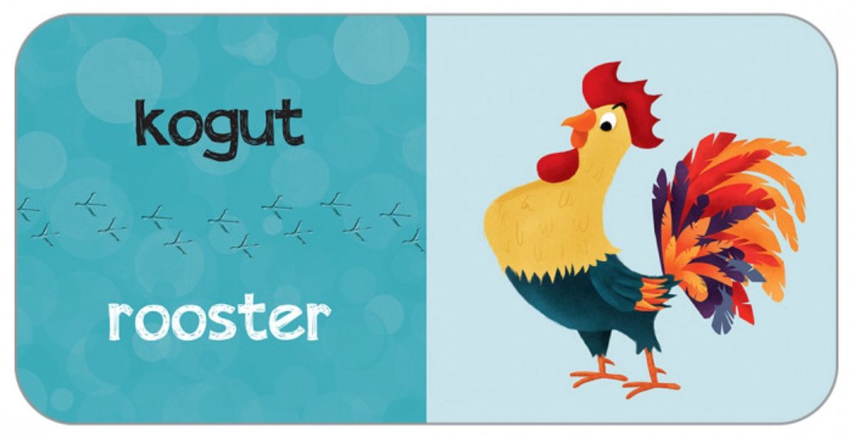 KAKADU: Zwierzęta domowe (książka interaktywna) - Agnieszka Matz