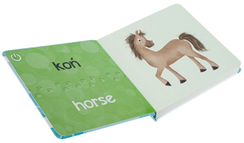 KAKADU: Zwierzęta domowe (książka interaktywna) - Agnieszka Matz