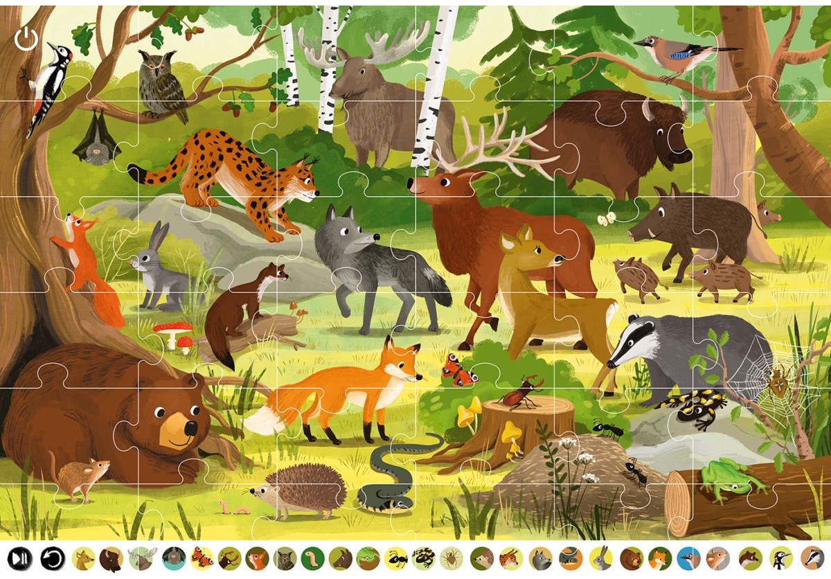 KAKADU: Zwierzęta lasu z mówiącymi puzzlami