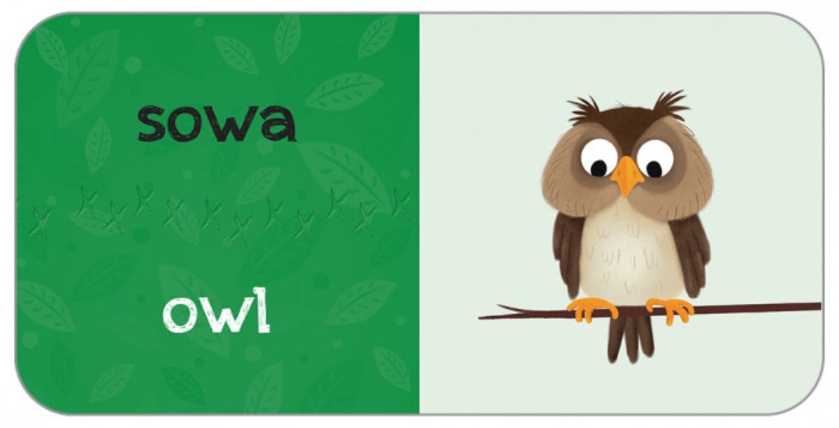 KAKADU: Zwierzęta świata (książka interaktywna) - Agnieszka Matz