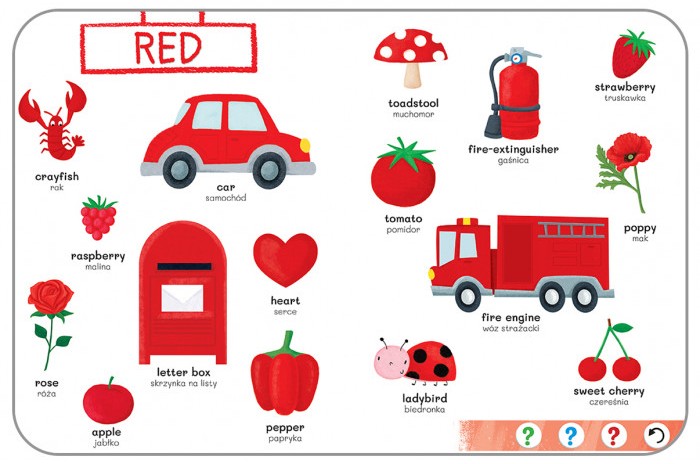 KAKADU: ANGIELSKI SŁOWNICZEK OBRAZKOWY (książka interaktywna) - Agnieszka Matz