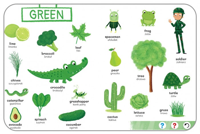 KAKADU: ANGIELSKI SŁOWNICZEK OBRAZKOWY (książka interaktywna) - Agnieszka Matz