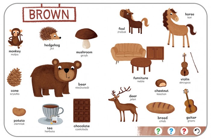 KAKADU: ANGIELSKI SŁOWNICZEK OBRAZKOWY (książka interaktywna) - Agnieszka Matz