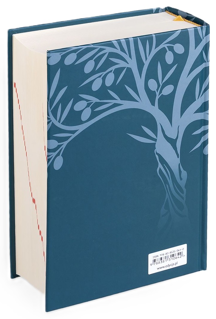 BIBLIA PLUS. Pismo Święte czytane metodą skrutacji - oprawa twarda, turkusowa