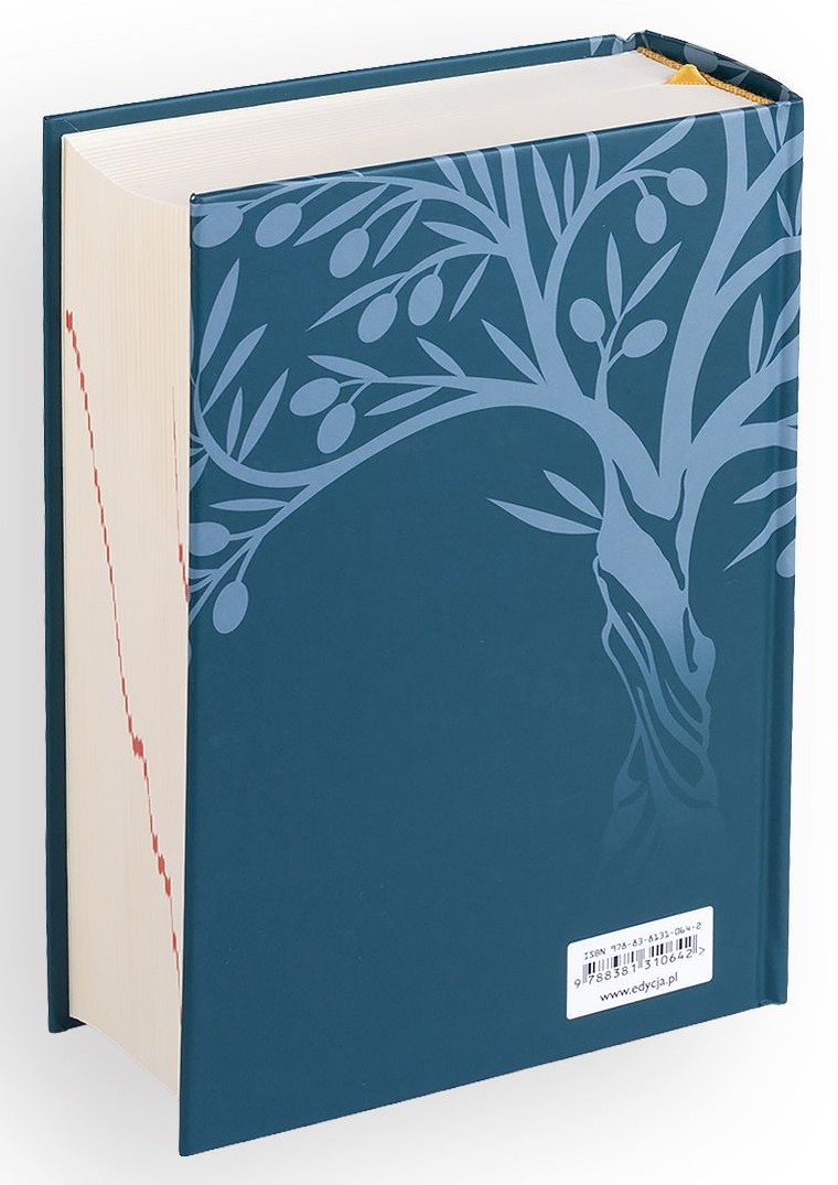 BIBLIA PLUS. Pismo Święte czytane metodą skrutacji - oprawa twarda z paginacją, turkusowa