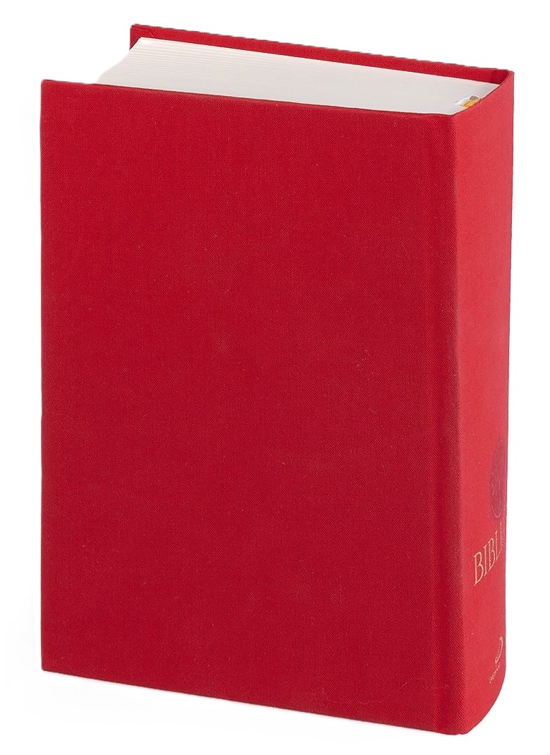 BIBLIA PLUS. Pismo Święte czytane metodą skrutacji - oprawa twarda, płótno, czerwona