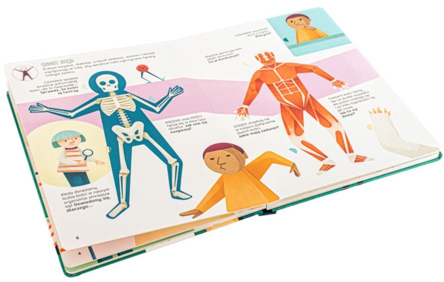 Podnieś klapkę: CIAŁO CZŁOWIEKA