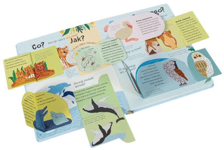 Podnieś klapkę: KOCHAM dzikie zwierzęta - Hannah Porter