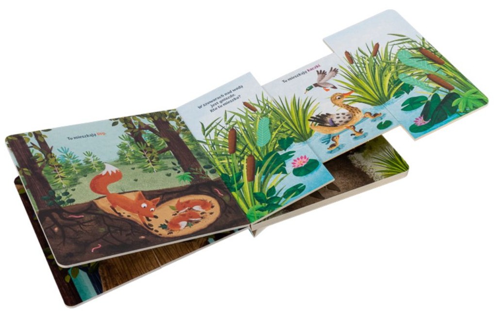 ROZSUWANKA: KTO TU MIESZKA? - Agnieszka Bernacka