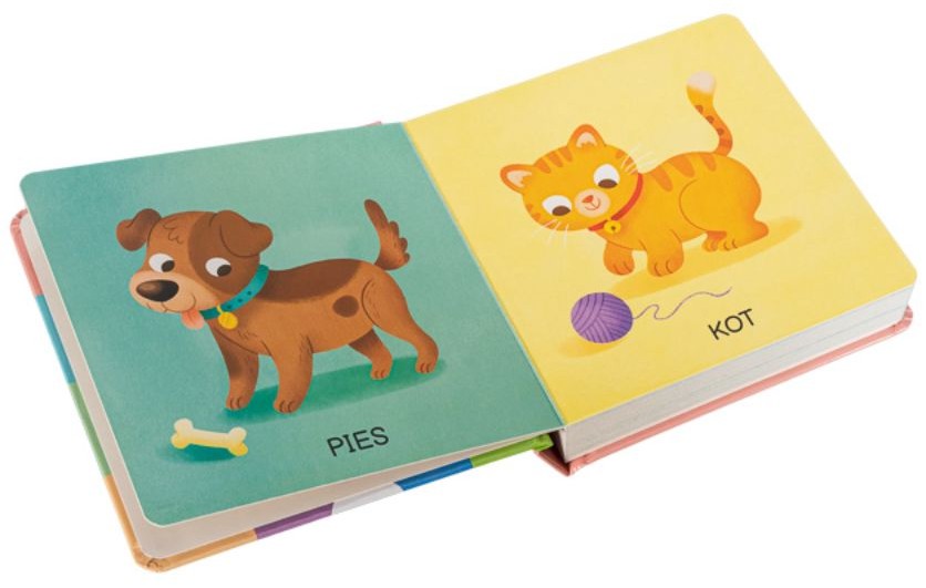 MÓJ PIERWSZY SŁOWNICZEK: 50 zwierząt -  Francesco Zito