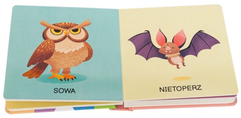 MÓJ PIERWSZY SŁOWNICZEK: 50 zwierząt -  Francesco Zito