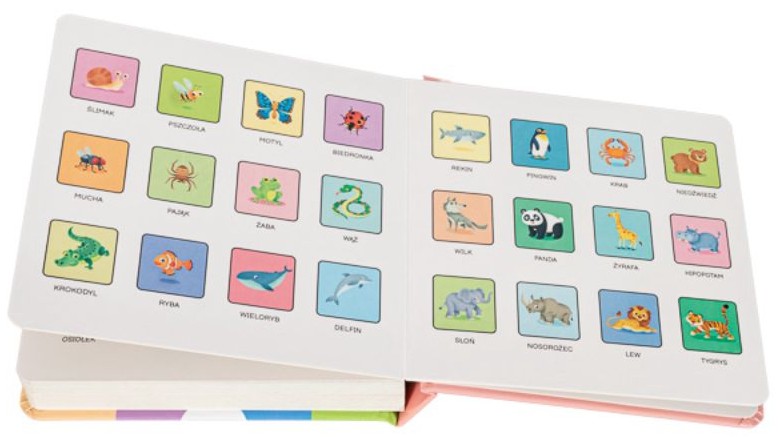 MÓJ PIERWSZY SŁOWNICZEK: 50 zwierząt -  Francesco Zito