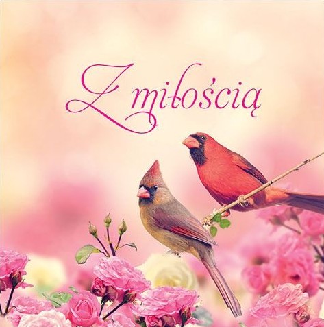 Książeczka upominkowa: Z miłością