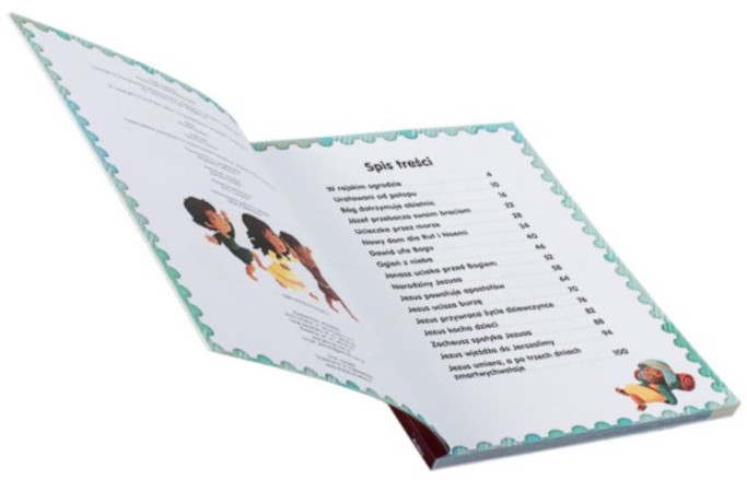 NIEZIEMSKIE ŁAMIGŁÓWKI BIBLIJNE (wiek 3+) - Andrew Newton