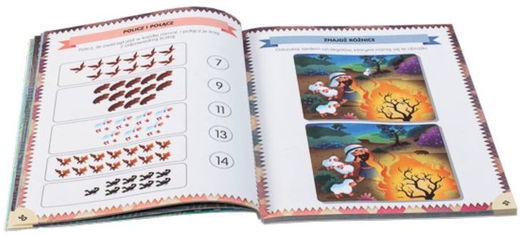 NIEZIEMSKIE ŁAMIGŁÓWKI BIBLIJNE (wiek 3+) - Andrew Newton