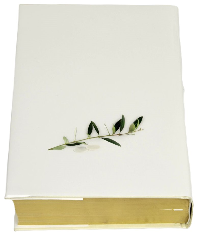 PISMO ŚWIĘTE Starego i Nowego Testamentu (złocone, paginatory) - Pamiątka I Komunii Św.