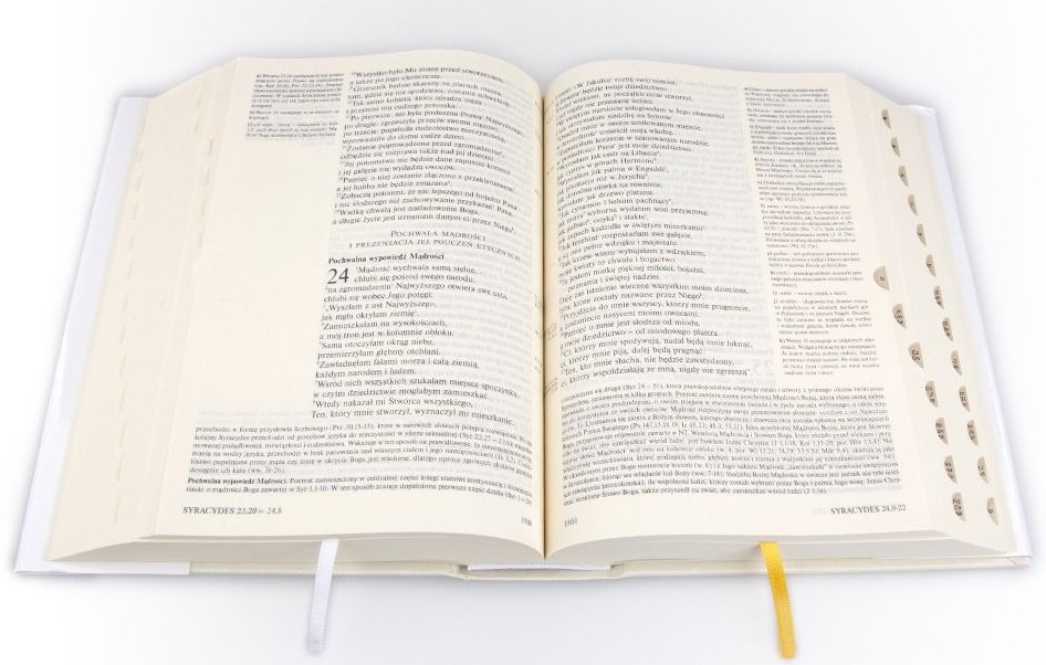 PISMO ŚWIĘTE Starego i Nowego Testamentu (standard, paginatory) - Pamiątka I Komunii Św.