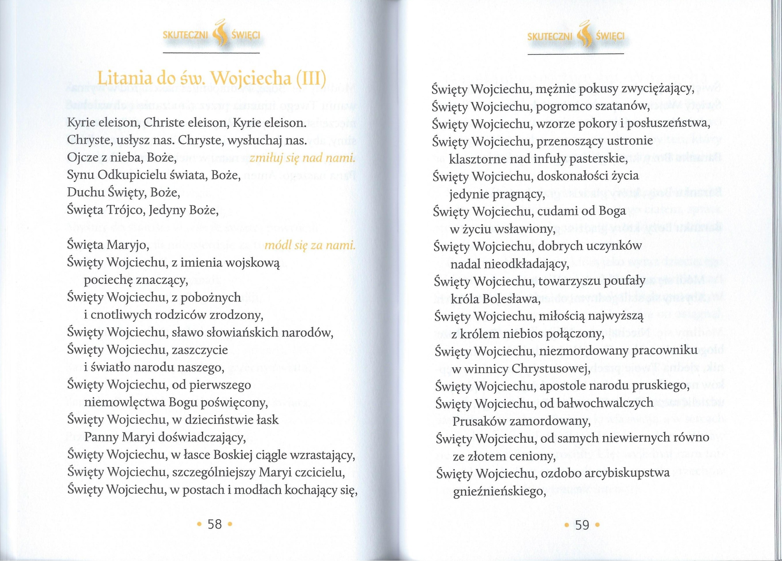 SKUTECZNI ŚWIĘCI: Święty Wojciech - książka