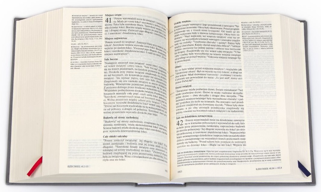 PISMO ŚWIĘTE ST i NT "z gołębicą" - duży format, oprawa twarda szara