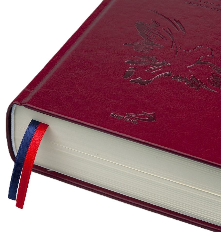 PISMO ŚWIĘTE ST i NT "z gołębicą" - duży format, oprawa twarda bordowa