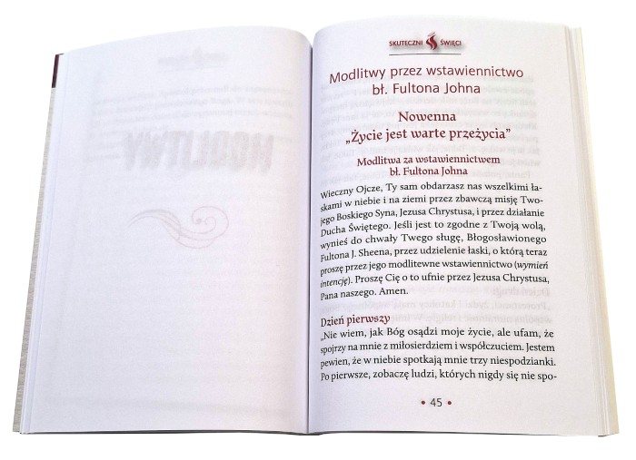 SKUTECZNI ŚWIĘCI: Błogosławiony Fulton John Sheen - książka