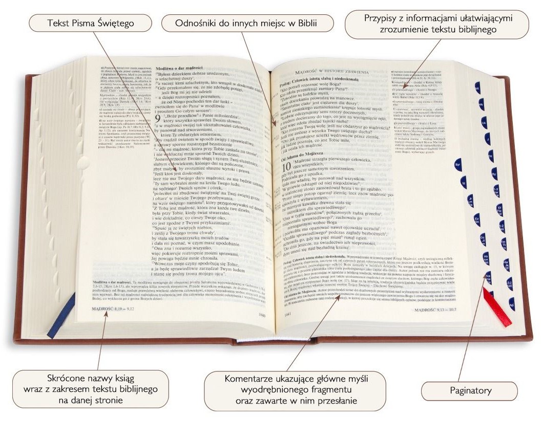 PISMO ŚWIĘTE ST i NT "z gołębicą" - duży format, twarda, szara, paginatory