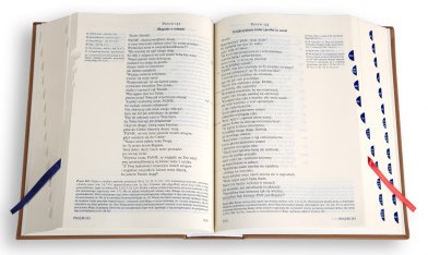 PISMO ŚWIĘTE ST i NT "z gołębicą" - duży format, oprawa twarda brązowa, paginatory