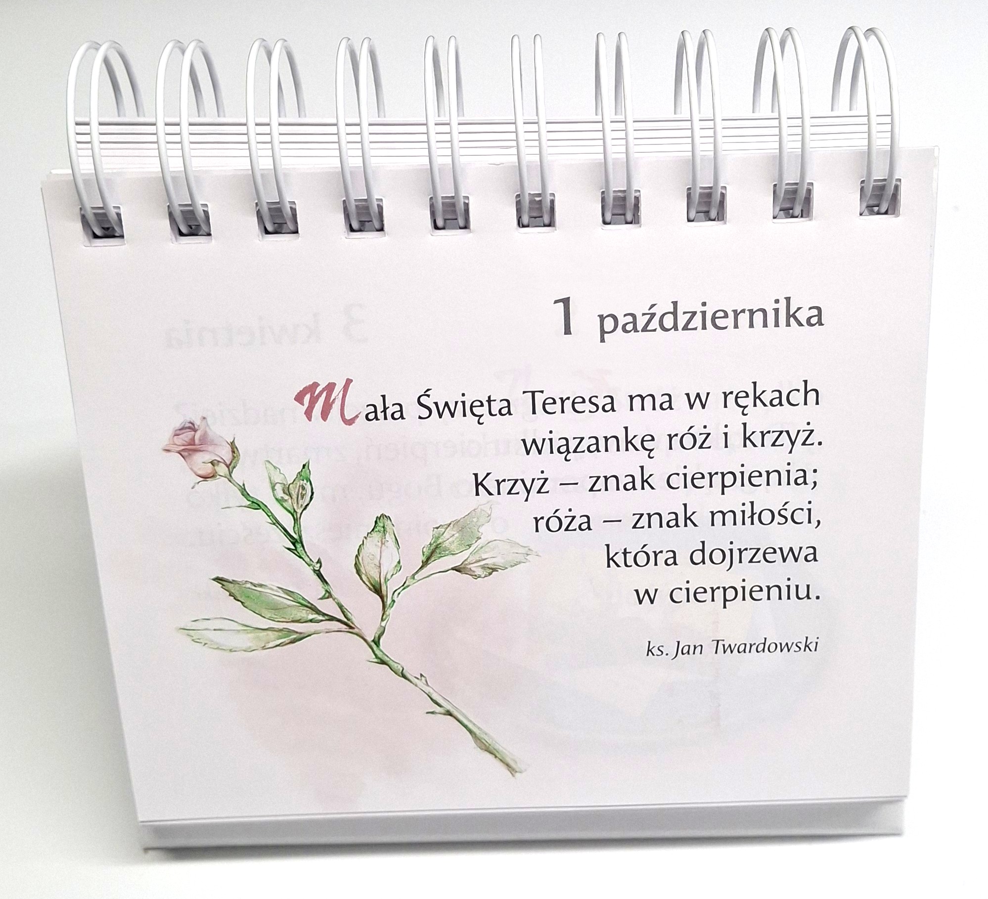 CODZIENNIK: 366 myśli na dobry rok - ks. Jan Twardowski (wyd. 2)