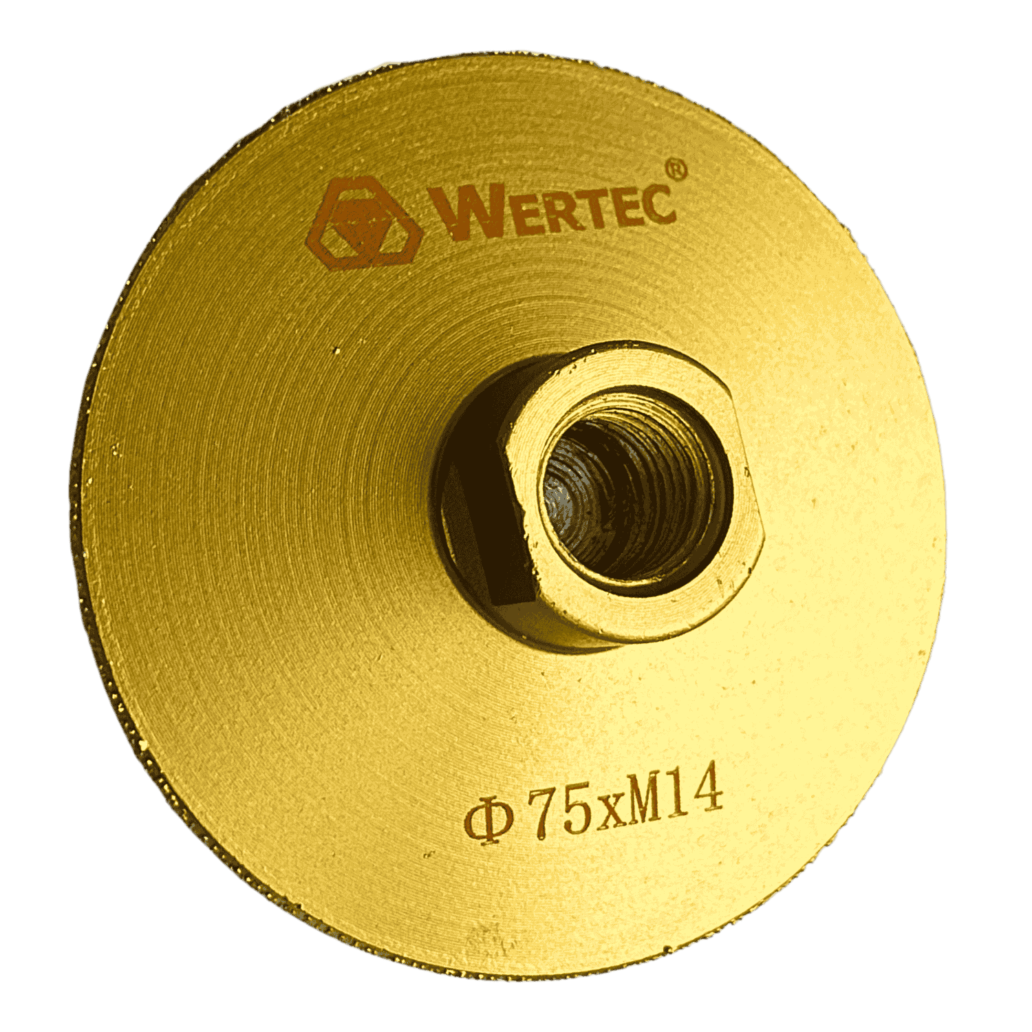 Tarcza do szlifowania lutowana prózniowo 75mmxM14 WERTEC - WTD75M14P