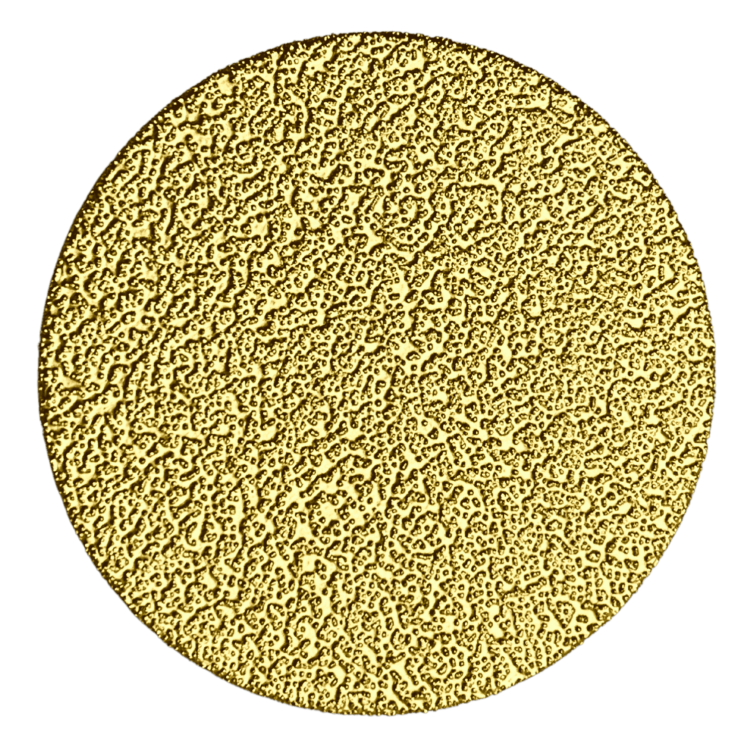 Tarcza do szlifowania lutowana prózniowo 75mmxM14 WERTEC - WTD75M14P