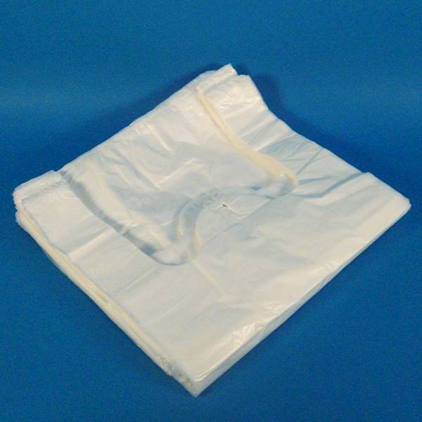 Rekl. LDPE 10kg (30x55) a'100 30mic /Z10/ Euf.