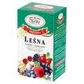 SP HERBATA LEŚNA MALWA  20*2G