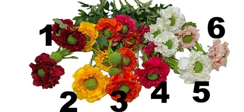 Gałązka cynia, DG12