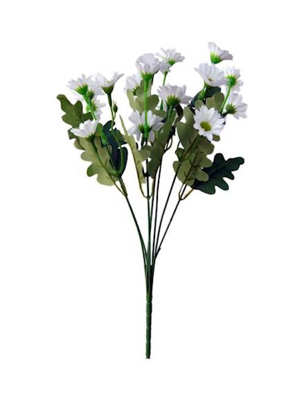 Bukiet margerytka x7 QB9