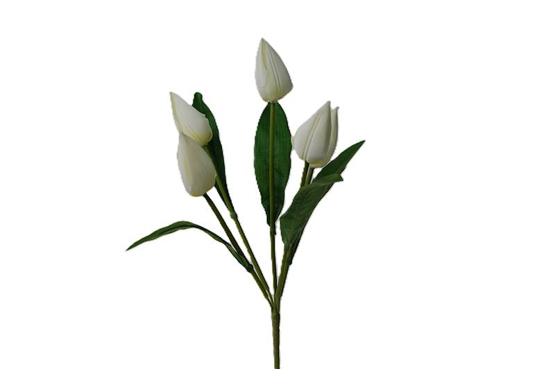 Bukiet tulipanów x5, FD32