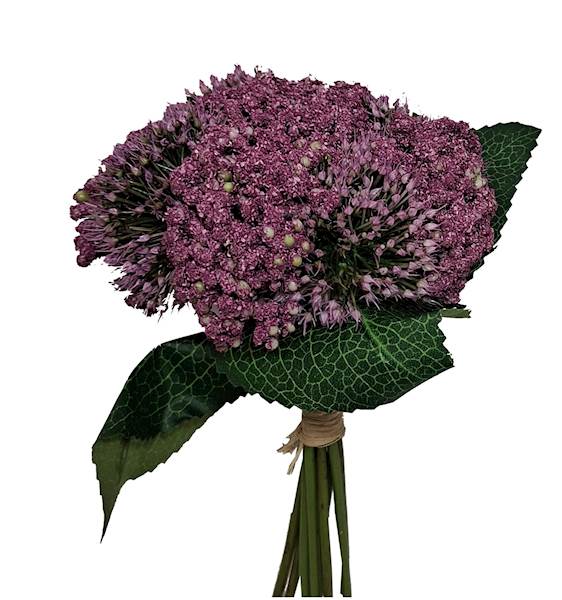 Czosnek -  bukiet, K526