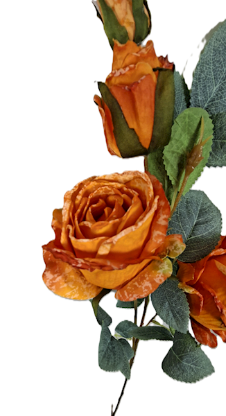 Róża na gałązce, DG11