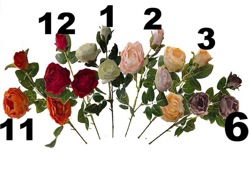 Gałązka róży, DG14